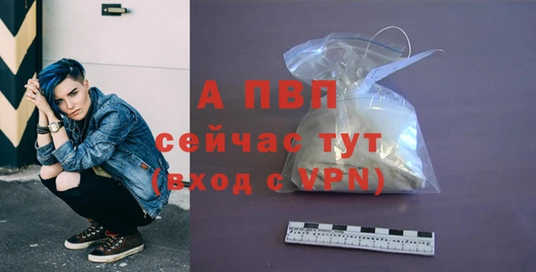 прущие грибы Вязники