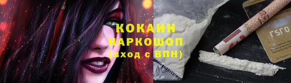 МДПВ Вяземский