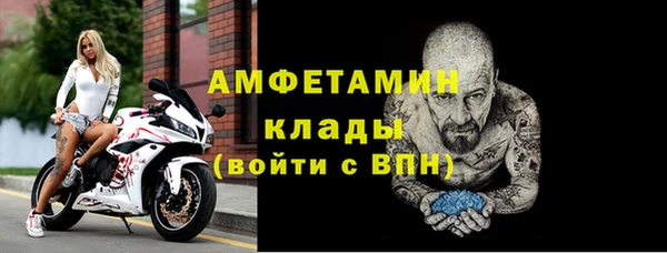 МДПВ Вяземский