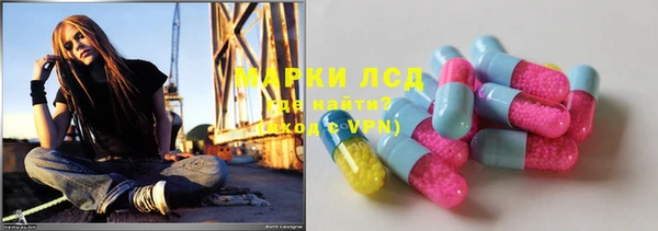 прущие грибы Вязники