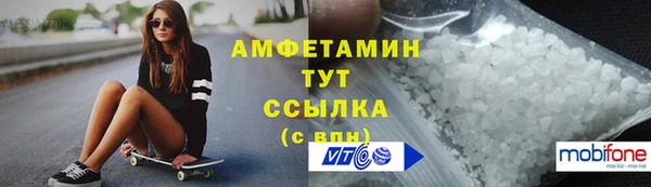прущие грибы Вязники