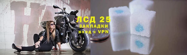 прущие грибы Вязники