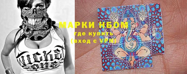 прущие грибы Вязники