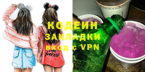 прущие грибы Вязники