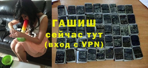 прущие грибы Вязники