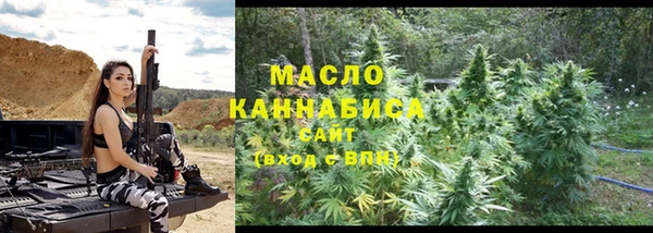 МДПВ Вяземский