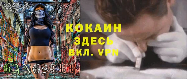 прущие грибы Вязники