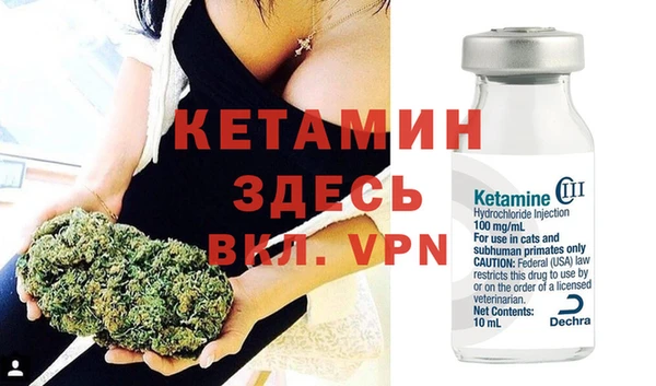прущие грибы Вязники