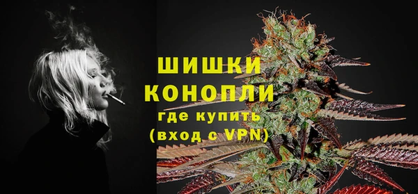 прущие грибы Вязники
