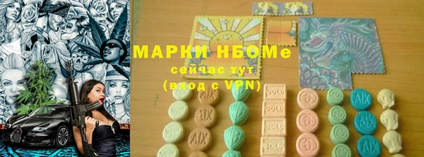 прущие грибы Вязники