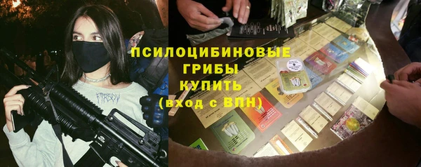 МДПВ Вяземский