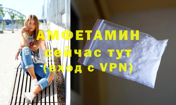 прущие грибы Вязники