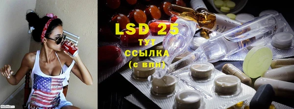 прущие грибы Вязники