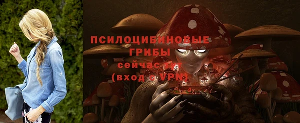 МДПВ Вяземский